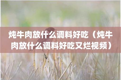 炖牛肉放什么调料好吃（炖牛肉放什么调料好吃又烂视频）