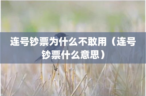连号钞票为什么不敢用（连号钞票什么意思）