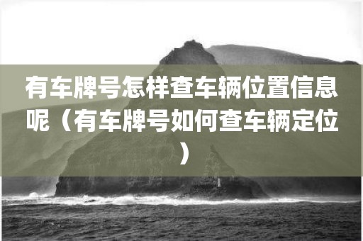 有车牌号怎样查车辆位置信息呢(有车牌号如何查车辆定位) 有车牌号怎样查车辆位置信息呢(有车牌号如何查车辆定位)