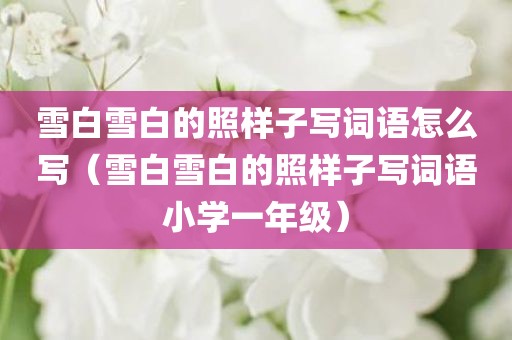 雪白雪白的照样子写词语怎么写（雪白雪白的照样子写词语小学一年级）