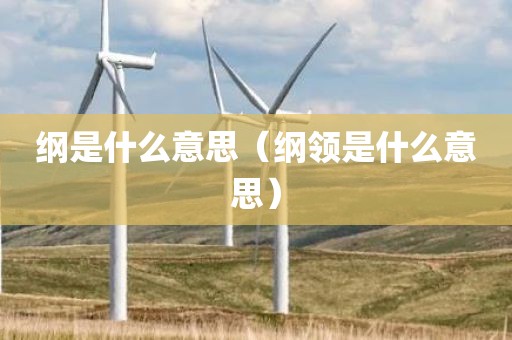 纲是什么意思（纲领是什么意思）