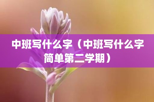 中班写什么字（中班写什么字简单第二学期）