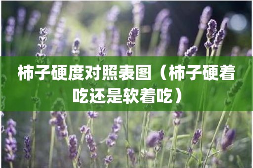 柿子硬度对照表图（柿子硬着吃还是软着吃）