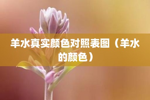 羊水真实颜色对照表图(羊水的颜色)