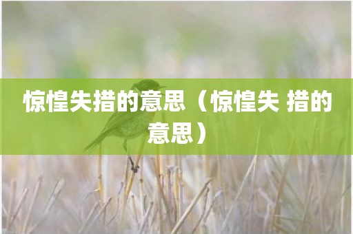 惊惶失措的意思（惊惶失 措的意思）