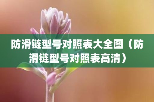 防滑链型号对照表大全图（防滑链型号对照表高清）