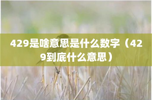 429是啥意思是什么数字（429到底什么意思）