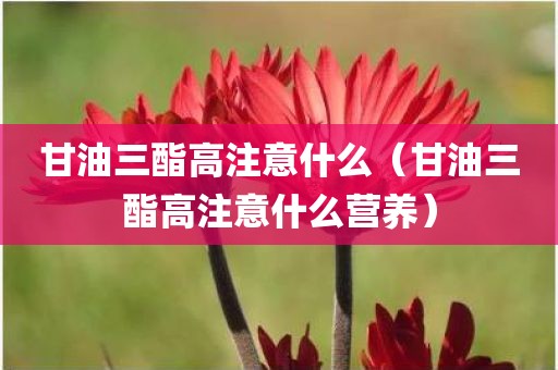 甘油三酯高注意什么（甘油三酯高注意什么营养）