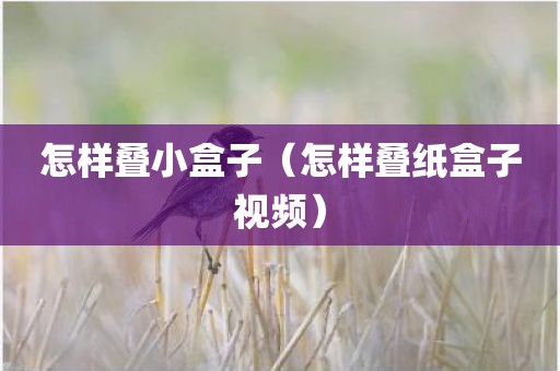 怎样叠小盒子（怎样叠纸盒子视频）