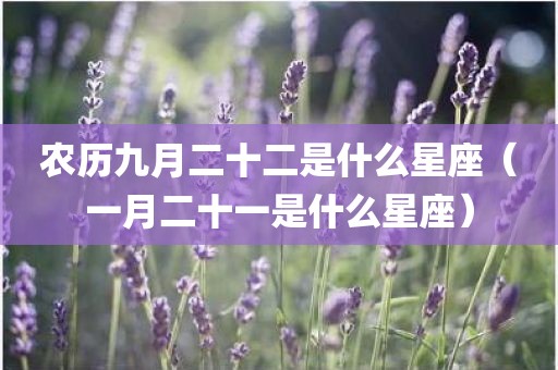 农历九月二十二是什么星座(一月二十一是什么星座)