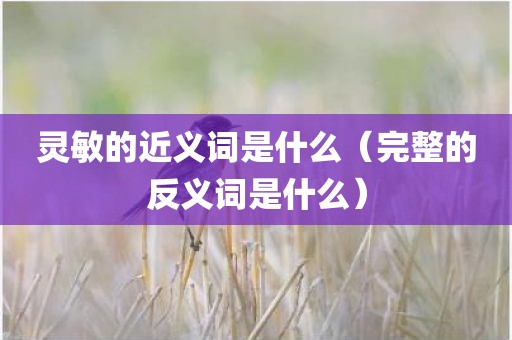 灵敏的近义词是什么（完整的反义词是什么）