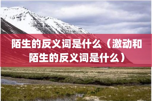 陌生的反义词是什么（激动和陌生的反义词是什么）