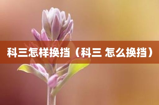 科三怎样换挡(科三 怎么换挡) 科三怎样换挡(科三 怎么换挡)