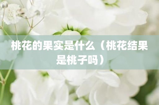 桃花的果实是什么（桃花结果是桃子吗）
