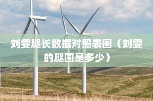 刘雯腿长数据对照表图（刘雯的腿围是多少）