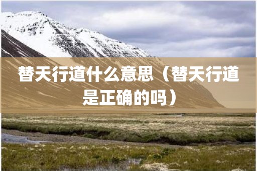 替天行道什么意思(替天行道是正确的吗) 替天行道什么意思(替天行道是正确的吗)