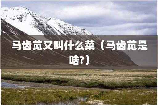 马齿苋又叫什么菜（马齿苋是啥?）
