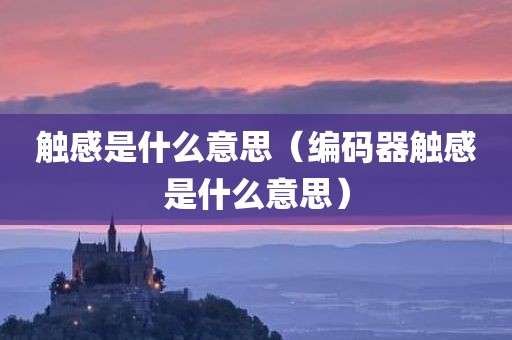 触感是什么意思（编码器触感是什么意思）