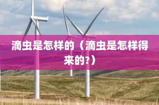 滴虫是怎样的（滴虫是怎样得来的?）