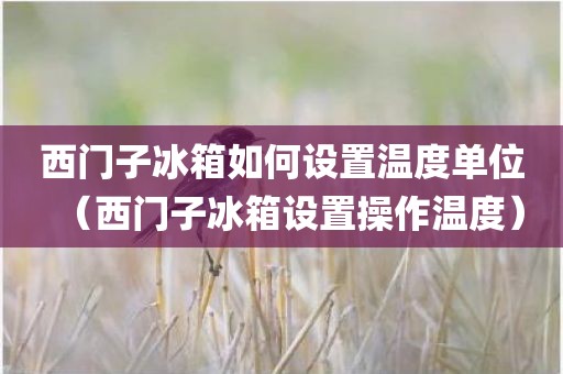 西门子冰箱如何设置温度单位（西门子冰箱设置操作温度）
