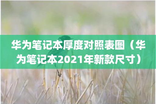 华为笔记本厚度对照表图（华为笔记本2021年新款尺寸）