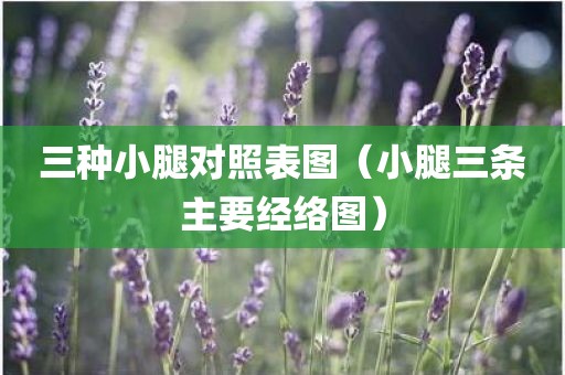 三种小腿对照表图（小腿三条主要经络图）