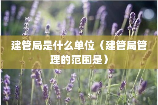 建管局是什么单位（建管局管理的范围是）