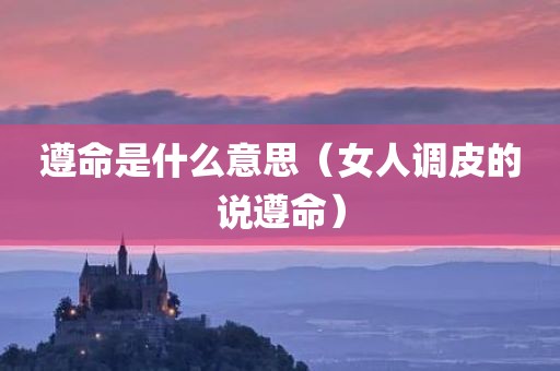 遵命是什么意思（女人调皮的说遵命）
