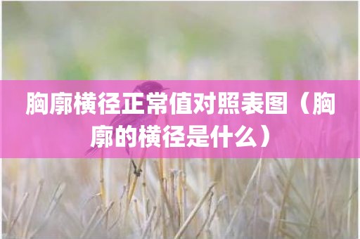 胸廓横径正常值对照表图（胸廓的横径是什么）