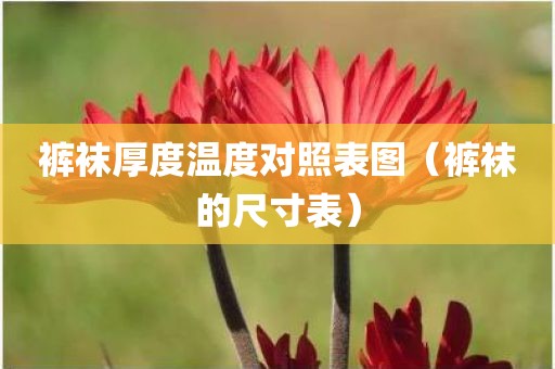 裤袜厚度温度对照表图（裤袜的尺寸表）