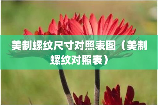 美制螺纹尺寸对照表图（美制螺纹对照表）
