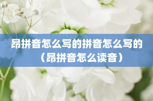 昂拼音怎么写的拼音怎么写的（昂拼音怎么读音）