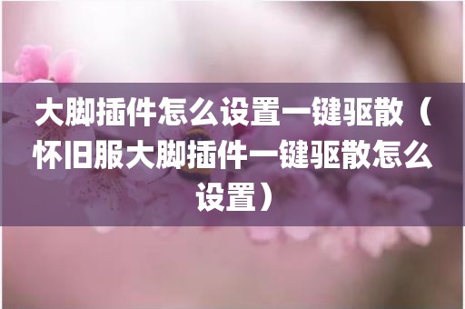 大脚插件怎么设置一键驱散（怀旧服大脚插件一键驱散怎么设置）