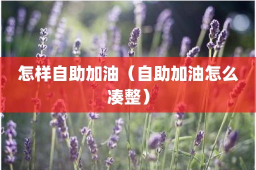 怎样自助加油（自助加油怎么凑整）
