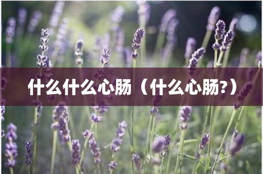 什么什么心肠（什么心肠?）