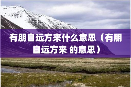 有朋自远方来什么意思（有朋自远方来 的意思）
