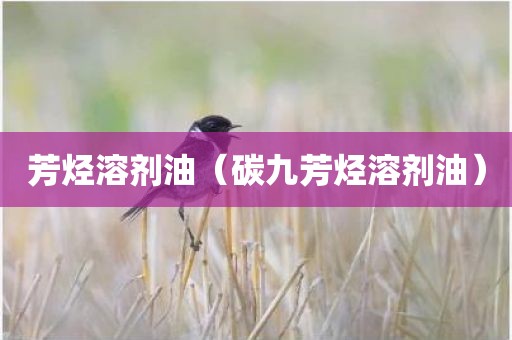 芳烃溶剂油（碳九芳烃溶剂油）