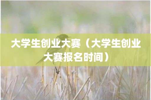 大学生创业大赛（大学生创业大赛报名时间）