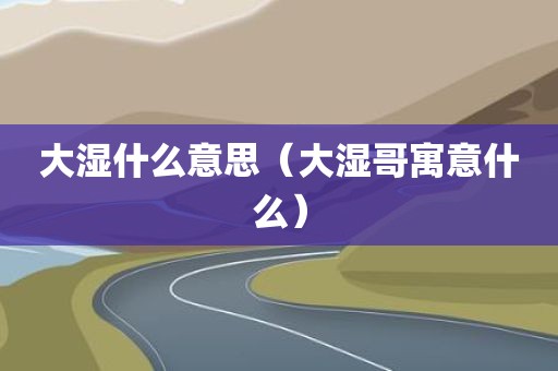 大湿什么意思（大湿哥寓意什么）