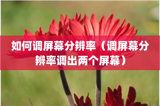 如何调屏幕分辨率(调屏幕分辨率调出两个屏幕)