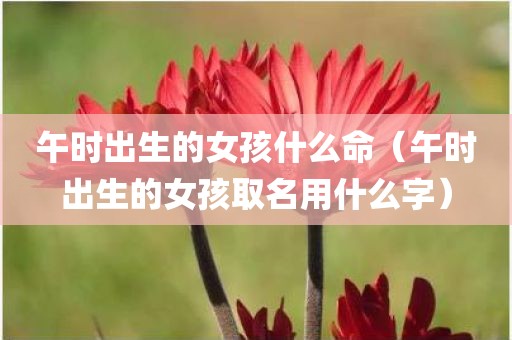 午时出生的女孩什么命（午时出生的女孩取名用什么字）
