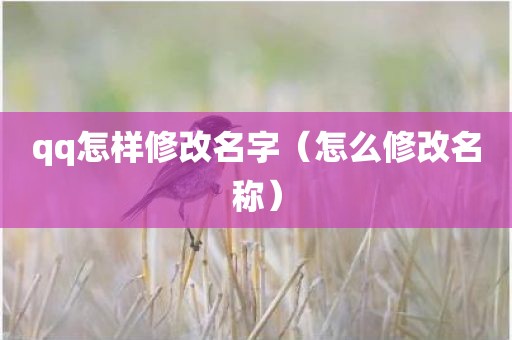 qq怎样修改名字（怎么修改名称）