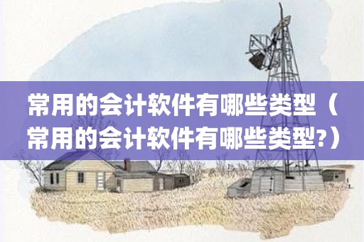 常用的会计软件有哪些类型（常用的会计软件有哪些类型?）