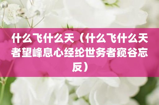 什么飞什么天（什么飞什么天者望峰息心经纶世务者窥谷忘反）