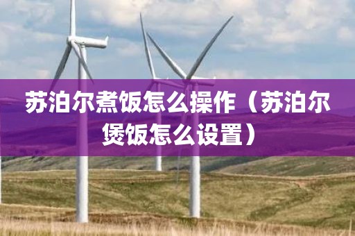 苏泊尔煮饭怎么操作(苏泊尔煲饭怎么设置) 苏泊尔煮饭怎么操作(苏泊尔煲饭怎么设置)