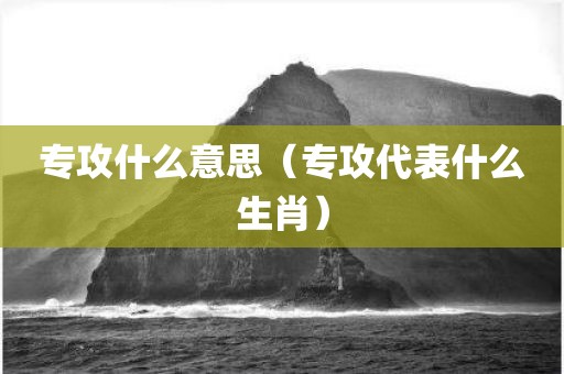 专攻什么意思（专攻代表什么生肖）