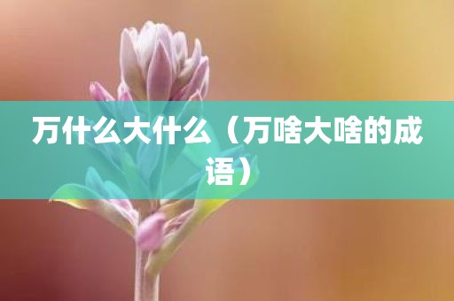 万什么大什么（万啥大啥的成语）