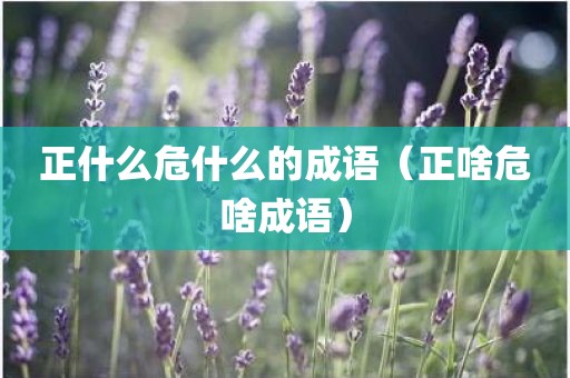 正什么危什么的成语（正啥危啥成语）