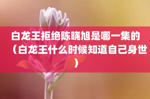 白龙王拒绝陈晓旭是哪一集的（白龙王什么时候知道自己身世）