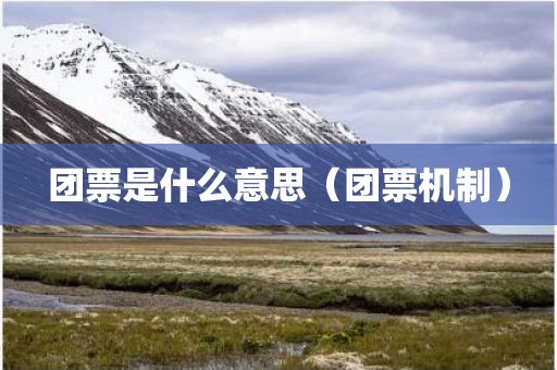 团票是什么意思（团票机制）